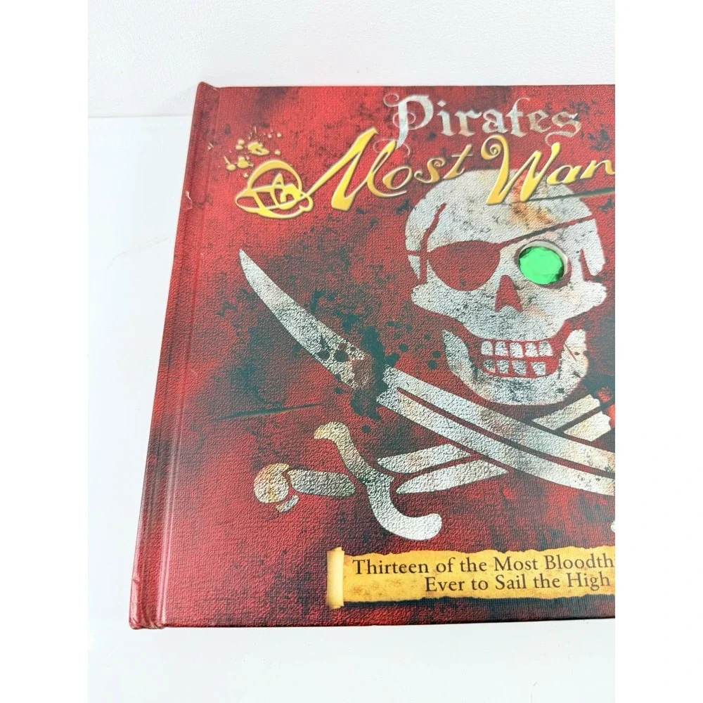 Pirates : Most Wanted by John Matthews (2007, Picture Book)